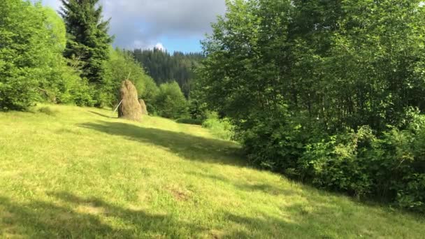 Haystacks på en äng bland träd på en bergssluttning. — Stockvideo