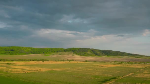 Létání nad poli a loukami, zelené kopce na pozadí — Stock video
