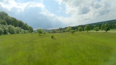 Yeşil çayır boyunca uçuyor, çimlere ve ağaçların yapraklarına yakın.