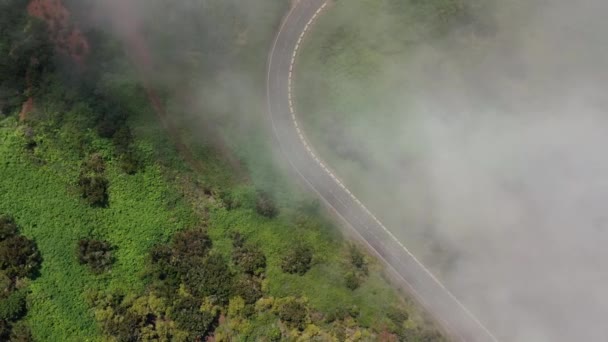 푸른 초목으로 둘러싸인 산길을 따라 구름을 뚫고 날아가고 있었다. 들 때 카메라 회전 — 비디오