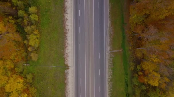 Blick von oben auf den Verkehr auf der Autobahn, umgeben von hellem Herbstwald. — Stockvideo