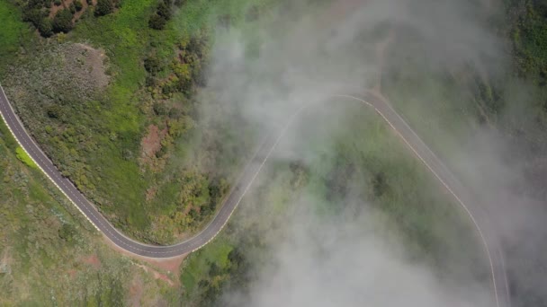 Flying through the clouds over a mountain road surrounded by green vegetation. Car driving on the road — Stock Video
