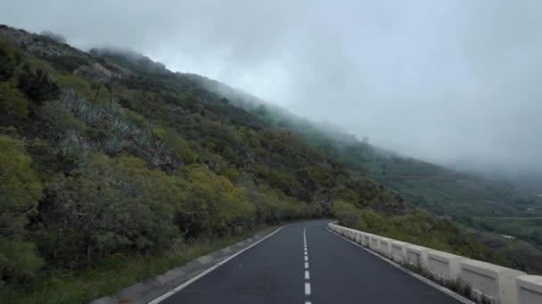 Άποψη σε πρώτο πρόσωπο της κίνησης κατά μήκος ενός ορεινού δρόμου σε επίπεδο νέφους, πλαγιές καλυμμένες με πράσινη βλάστηση και υψηλή υγρασία. Κανάριοι Νήσοι, Ισπανία. — Αρχείο Βίντεο