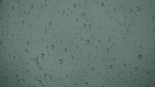 Close up of a glass with water drops while outside is raining. Drops of rain through glass. — Stock Video