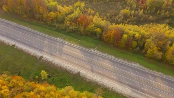 Вид сверху на пустое шоссе, окруженное ярким осенним лесом. — стоковое видео