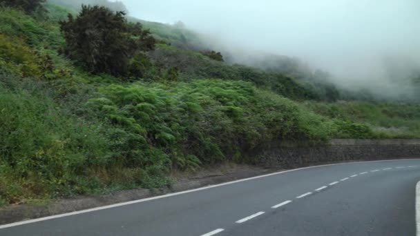 Vista sobre un camino de montaña a nivel de nubes, pendientes cubiertas de vegetación verde y alta humedad. — Vídeo de stock