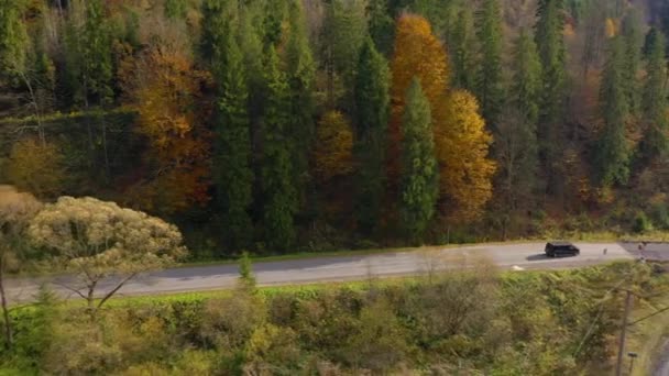 从秋天的高处看风景- -汽车在路上行驶，在穿过铁路前停下 — 图库视频影像