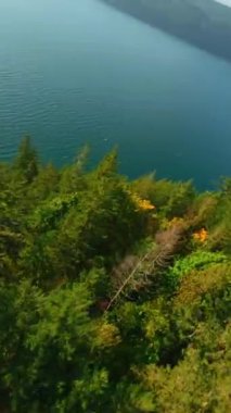 Kanada 'da göz kamaştırıcı sonbahar manzarası. Harrison Gölü yakınlarındaki dağ yamaçlarındaki renkli ormanın havadan görünüşü, British Columbia. FPV insansız hava aracı tarafından çekildi.