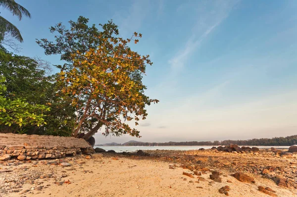 Prachtig Tropisch Strand Met Uitzicht Zee Schoon Water Blauwe Lucht — Stockfoto