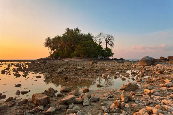 Tropik Sahilde Günbatımı Arka Plan Ebb Zamanında — Stok fotoğraf
