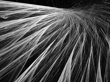 dijital soyut fraktal arkaplan bilgisayarda siyah ve beyaz olarak oluşturuldu.