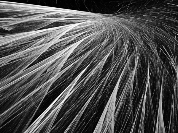 dijital soyut fraktal arkaplan bilgisayarda siyah ve beyaz olarak oluşturuldu.