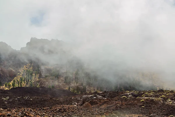 Landscape Mountains Covered Clouds Teide National Park Tenerife Canary Islands — Stock Photo, Image