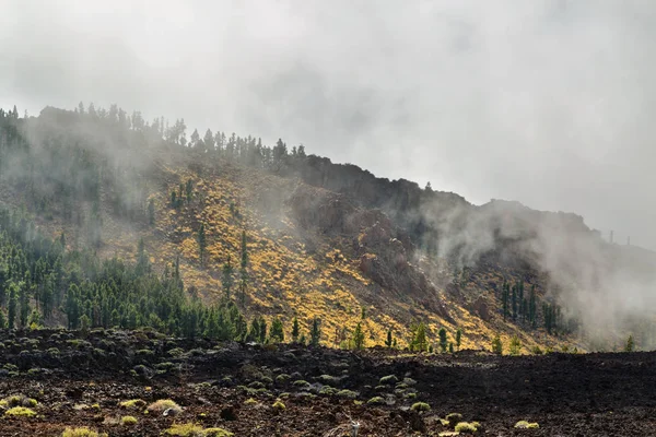 Bulutlar Teide Milli Parkı'nda Tenerife, Kanarya Adaları, İspanya ile kaplı dağları ile manzara 