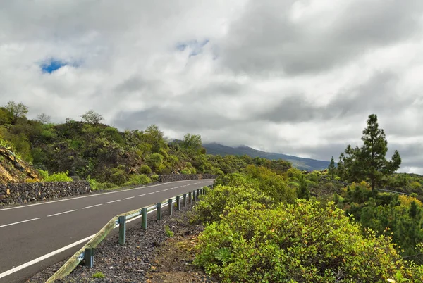 A road with mountains under gloomy sky on Tenerife on the Canarian islands.