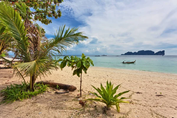 Hermosa Playa Tropical Con Vista Mar Agua Limpia Cielo Azul — Foto de Stock