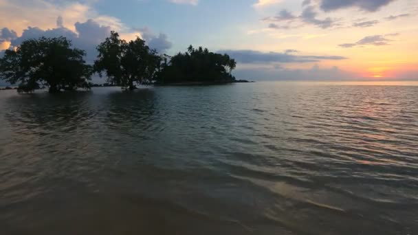 Arbres Plage Tropicale Dans Magnifique Coucher Soleil Contexte Naturel — Video