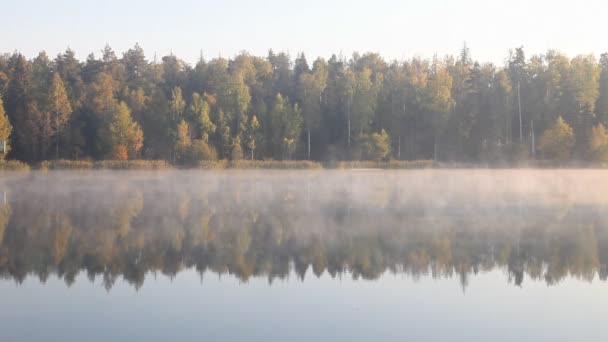 霧深い霧の湖の上の美しい秋の秋の風景 — ストック動画