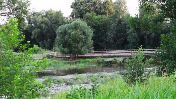 Campo Verde Con Río — Vídeos de Stock