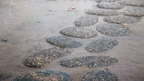 雨中小径上的湿老石头 水水坑 — 图库视频影像