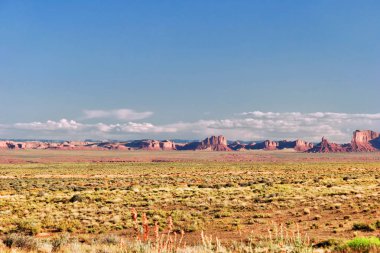 arizona devlet çölde manzara. ABD 