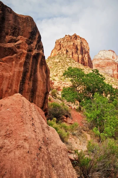 Όμορφες Πλαγιές Της Σιών Canyon Γιούτα Ηπα — Φωτογραφία Αρχείου