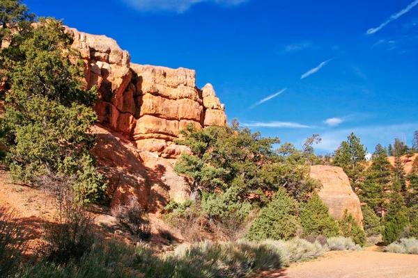 Nel Parco Nazionale Del Red Rock Canyon Utah Stati Uniti — Foto Stock