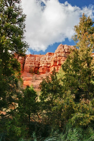 Parque Nacional Red Rock Canyon Utah Estados Unidos — Foto de Stock