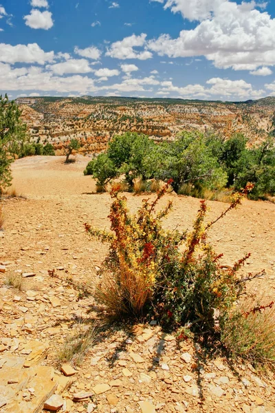 Grand Paysage Voyage État Utah États Unis — Photo