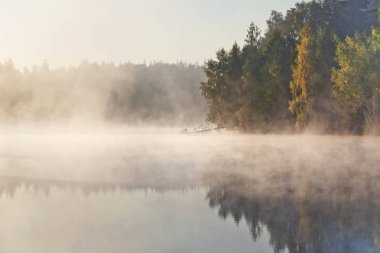 Güzel sonbahar sisli göl üzerine sonbahar manzarası 