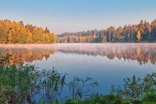 Bellissimo Autunno Autunno Paesaggio Sopra Nebbioso Lago Nebbioso — Foto Stock