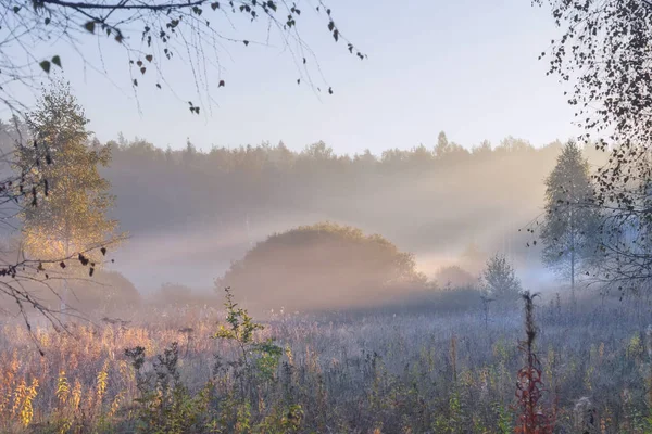 Herfst Landschap Met Mist Sunlights — Stockfoto