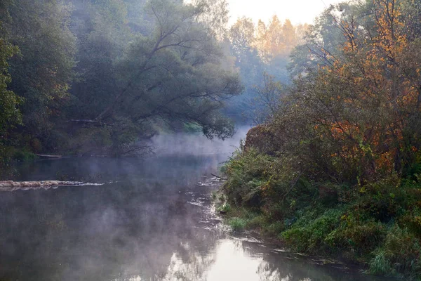 Mañana Verano Río Niebla —  Fotos de Stock