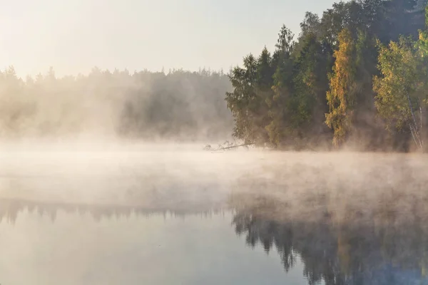 Hermoso Otoño Paisaje Otoño Sobre Lago Brumoso Niebla —  Fotos de Stock