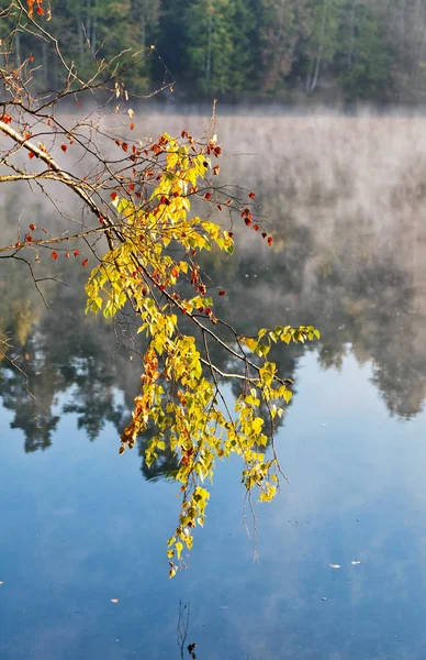 Lindas Outono Outono Outono Paisagem Sobre Nevoeiro Nebuloso Lago — Fotografia de Stock