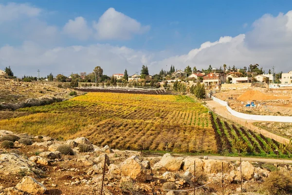 Tekoa Small Jewish Settlement Judea Desert Jerusalem Israel — Stock Photo, Image