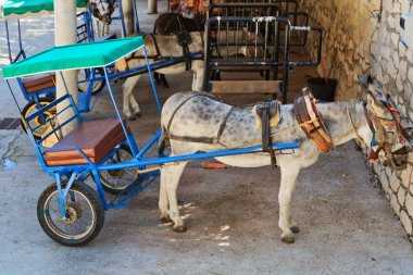 Mijas köyde dinlenme belgili tanımlık at arabası için harnessed eşek dinleniyor. Andalusia. İspanya