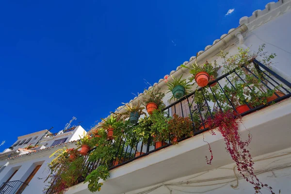 Balcones Decorados Con Flores Macetas Ciudad Mijas Andalucía España —  Fotos de Stock