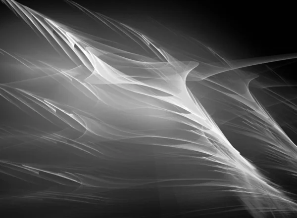 Digital Abstract Fractal Background Generated Computer Black White — Stock Photo, Image