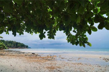 Kasvetli gökyüzünün altında tropik bir sahil. Tayland