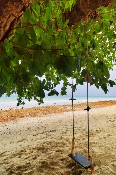 Гойдалки Дерево Піску Тропічні Пляжі Риб Яче Око Погляд — стокове фото