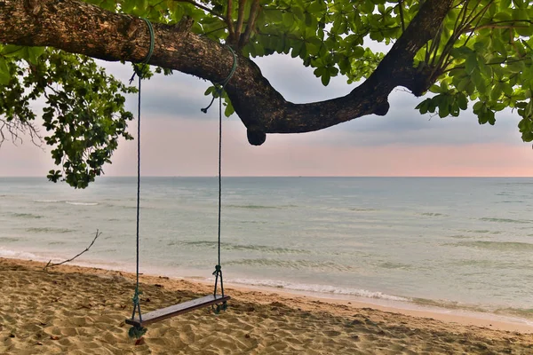 Gunga Vackra Dystra Solnedgången Stranden Stockfoto