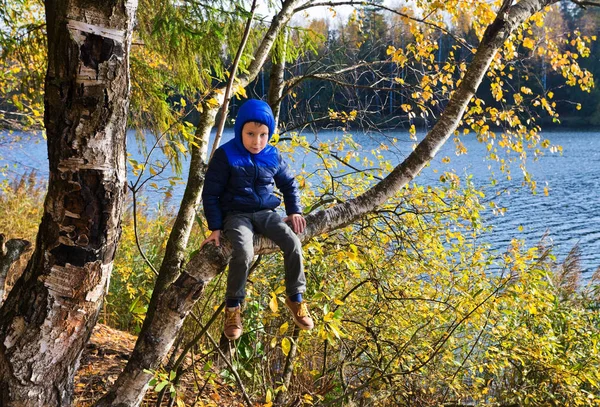 Boy Sits Birch Tree Autumn Forest Lake — Stock Photo, Image