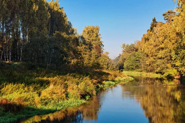 Herfst Rivierlandschap Schilderachtige Natuur Met Rustige Rivier Vergeelde Herfst Bomen — Stockfoto