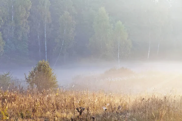 Paisaje Otoñal Con Niebla Amanecer — Foto de Stock