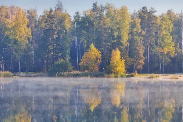 Lindas Outono Outono Outono Paisagem Sobre Nevoeiro Nebuloso Lago — Fotografia de Stock