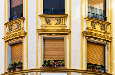 Eski windows ve çiçekler ile bina cephe. Malaga. İspanya