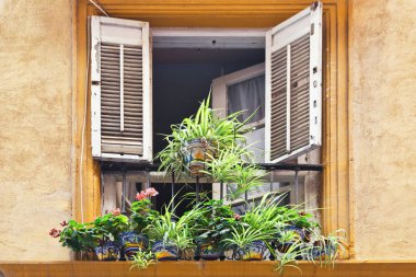 pencere tencere çiçeklerle süslenmiş. Malaga. İspanya
