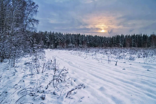 Sombere Zonsondergang Winter Buurt Van Het Bos Achtergrond Van Natuur — Stockfoto