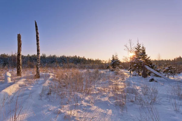 Vinterlandskap Med Fält Vid Solnedgången — Stockfoto